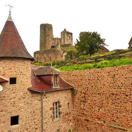 Elegant Medieval Restaure Avec Piscine, Cheminee, Proche Du Golf Et Attractions Culturelles - Fr-1-489-335 * Hérisson